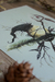Arte Impressa "Magus Mitis" - comprar online