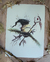 Arte Impressa "Magus Mitis" - loja online