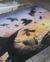 Arte Impressa "Strigispell" - Milirien Creations