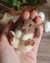 Broche Coelhinho em Lã Feltrada na internet