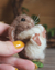 Broche Coelhinho em Lã Feltrada - Milirien Creations