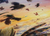 Pintura Original "Strigispell" - comprar online