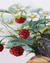 Pintura Original "Clarinetista" - loja online