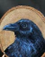 Pintura em Madeira "Corvo" - comprar online