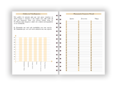 Planner Financeiro Gringots - Arquivo Digital - Do Seu Jeitim