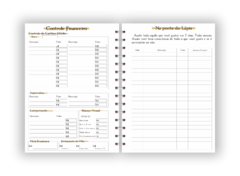 Planner Financeiro Gringots - Arquivo Digital - comprar online