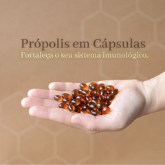 Extrato de Própolis - Suplemento Alimentar na internet