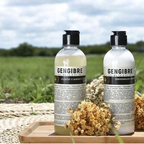 Shampoo e sabonete líquido 2 em 1 Gengibre