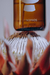 Home Perfume ZEPHYR OF DUBAI 200ml - BYNOMADS - Olfactive Travels