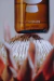 Home Perfume ZEPHYR OF DUBAI 200ml - BYNOMADS - Olfactive Travels