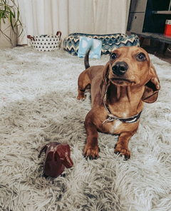 Escultura Dachshund - Impressão 3D na internet