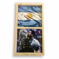 Mini Tejo Copa América - Edición Limitada