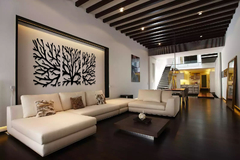 Imagen de ÁRBOL RAMAS