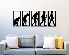 EVOLUCION HUMANA