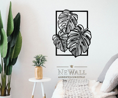 MONSTERA