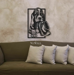 BASSET HOUND en internet