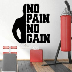 NO PAIN NO GAIN
