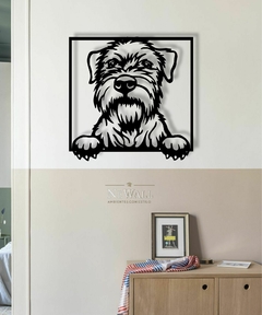 PERRO SCHNAUZER