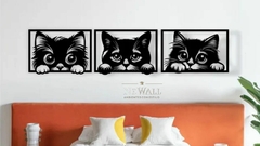 GATITOS TIERNOS