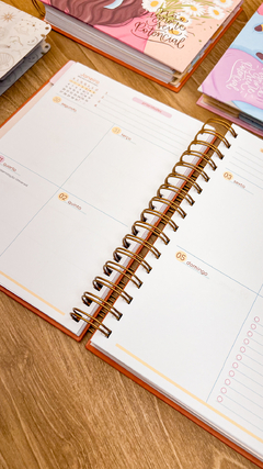 Planner 2025 - Fuxia - Pequeno Detalhe