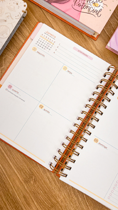 Planner 2025 - comprar online