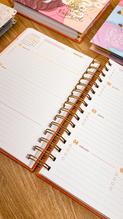 Planner 2025 - Fuxia - loja online
