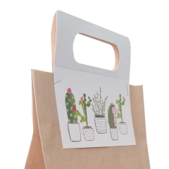 CIERRA BOLSA CON MANIJA