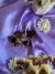 Ojo de Tigre (en bruto) - comprar online