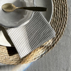 SERVILLETA SILVINA 50X50 en internet