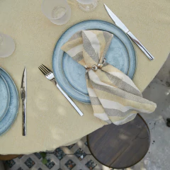 SERVILLETA SIEMBRA 50X50 en internet