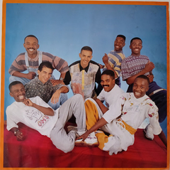 Negritude Junior - Natural - Discos The Vinil