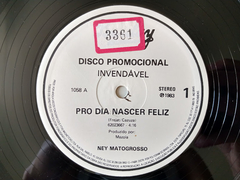 Ney Matogrosso - ...Pois É - Discos The Vinil