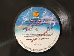 Imagem do David Bromberg Band - You Should See The Rest Of The Band