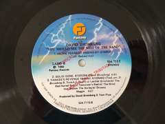 David Bromberg Band - You Should See The Rest Of The Band