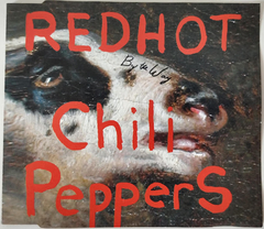 Red Hot Chili Peppers - By The Way CD 2