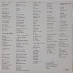 Beto Guedes - Alma De Borracha - Discos The Vinil
