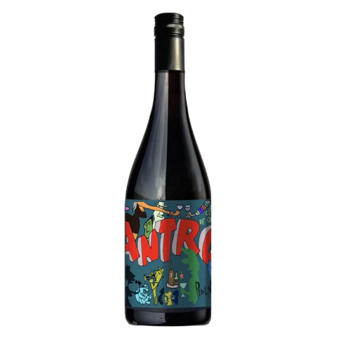 ANTRO Pinot Noir 2024/25 - Tupungato, Valle de Uco