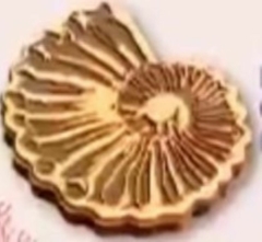 Sello AR ¨ Caracol Espiral ¨ Cód: L07 . A. Laser
