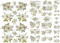 Lamina de Seda, ¨ Botanica ¨ Cód: CP1 , Shabby Chic
