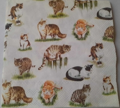 Servilletas Decoupage ¨Gatitos¨ Cód: NML 10