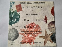 Servilleta Decoupage ¨Sea¨ Cód: NTC 4