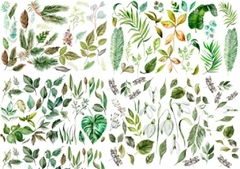 Lamina de Seda ¨ Botanica ¨ Cód: PLANT5 , Shabby Chic