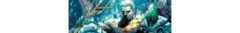 Banner da categoria Aquaman