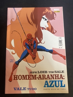 Homem-Aranha Azul: Vale Tudo Vol.2 (Usado) [HQ: Panini]