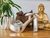 Sandalia MASHA Platino 39 - comprar online