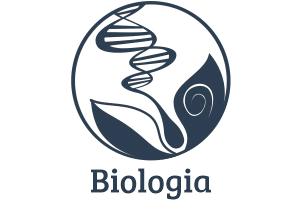 Marca 12 de i9Camisetas