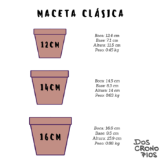 Maceta "Frida" - comprar online