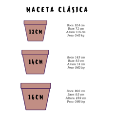 Maceta "Principito" en internet