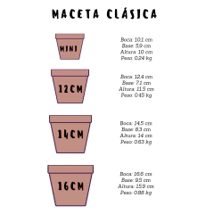 MACETA MINI PINTADA A MANO PELUSA ETERNAUTA - DOS CRONOPIOS en internet