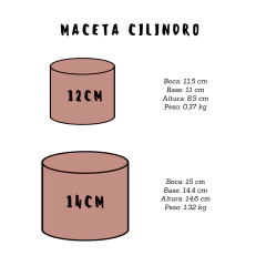 MACETA PINTADA A MANO ANIMALITOS DEL BOSQUE #3 CILINDRO - DOS CRONOPIOS - Dos Cronopios